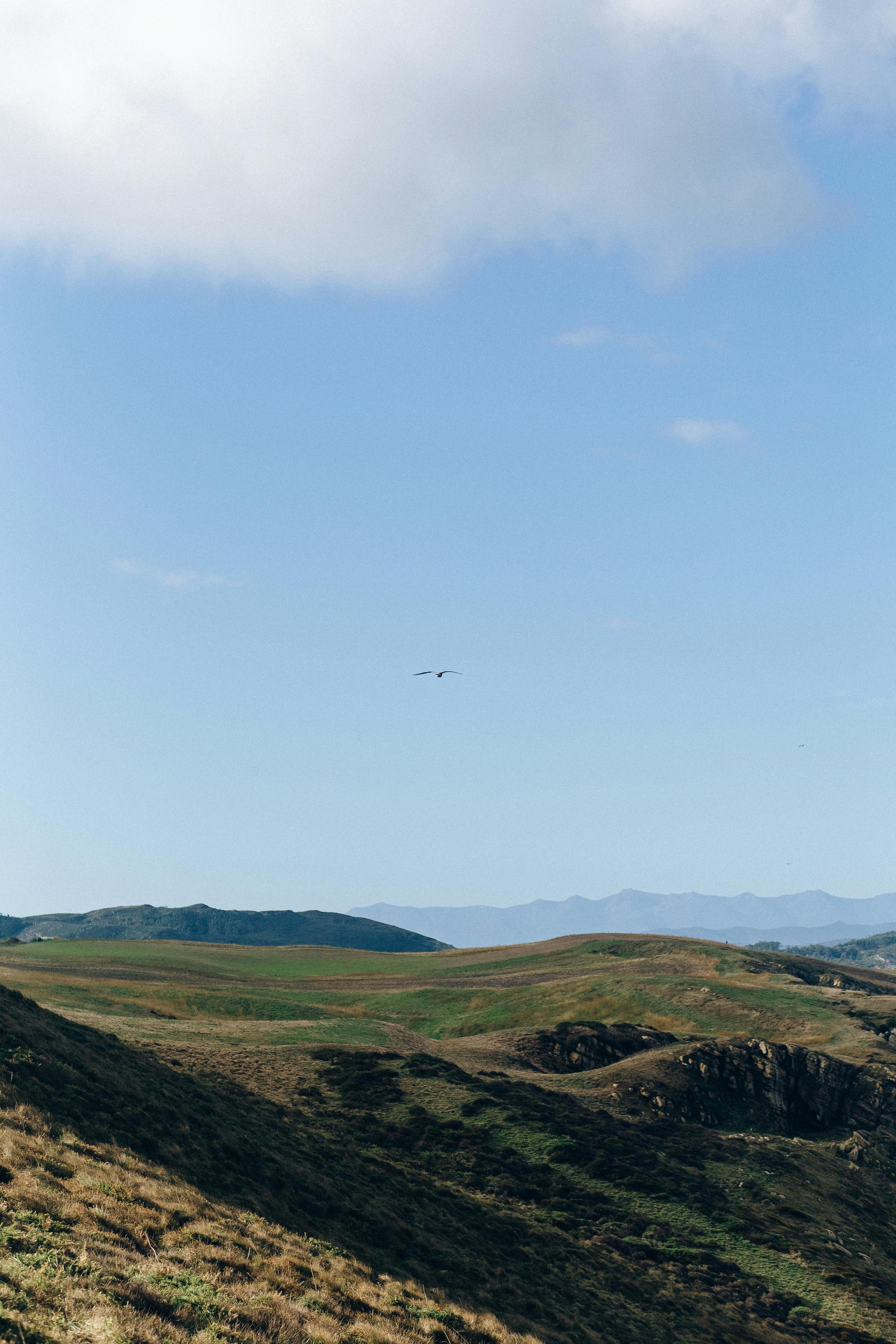 宁静的景观连绵起伏的丘陵和清澈的蓝天，完美的自然爱好者