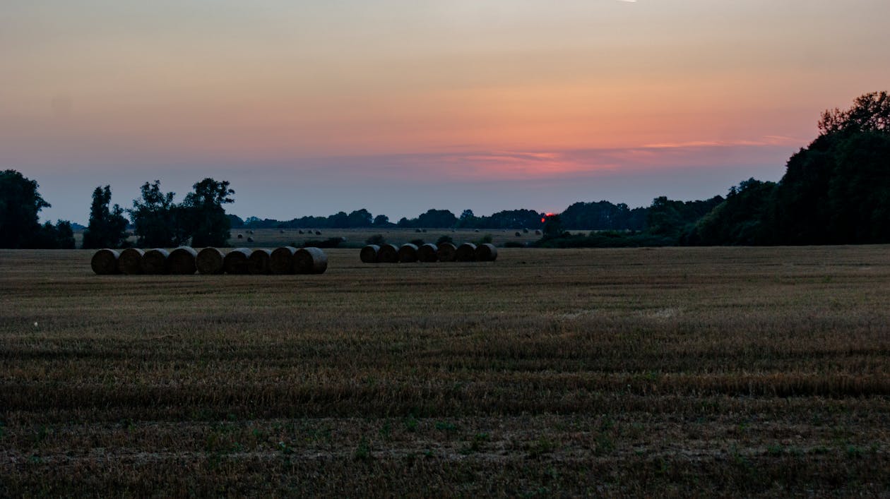Free stock photo of hay bales, landscape, sunset Stock Photo