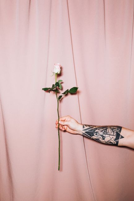 A tattooed arm extends a single pink rose against a matching curtain backdrop.
