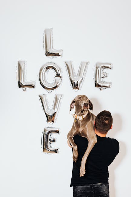 A man holds a dog with silver love balloons in a minimalist setting.
