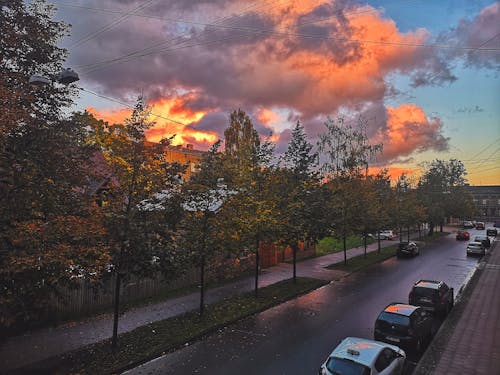 Free stock photo of autumn, dim light, empty street