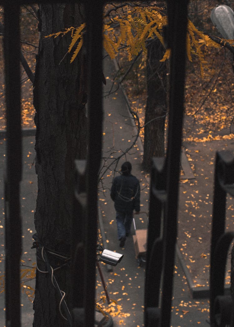 A Person Pulling His Luggage On The Street