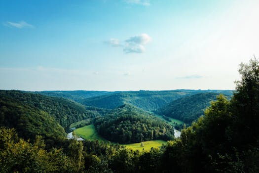 Explore the serene green landscapes and tranquil river valleys of Bouillon, Belgium, captured during a sunny day. by Tom Swinnen