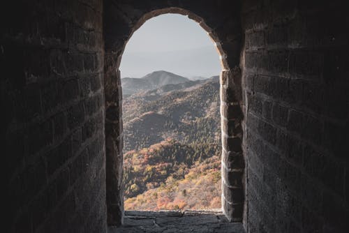 Fotos de stock gratuitas de abertura, árboles verdes, arco