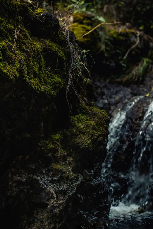 Free Close-up of moss-covered rock with water cascading nearby, creating a serene natural scene. Stock Photo