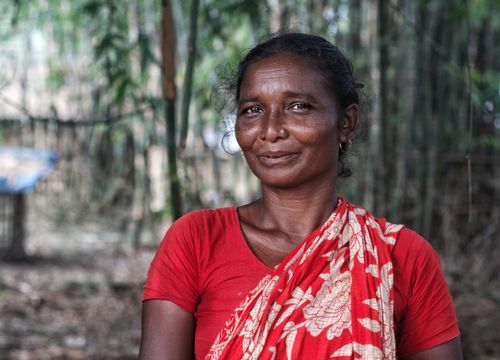 Free A woman wearing a red saree poses gracefully with a serene smile in a tranquil bamboo forest setting. Stock Photo