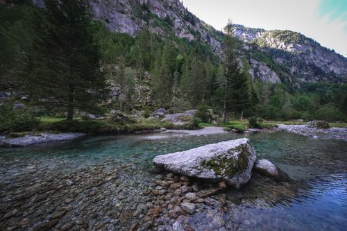 Free Spectacular landscape of rocky coast of calm lake surrounded by lush coniferous trees growing on slope of massive mountains in sunlight Stock Photo