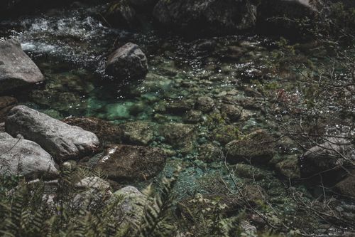 Free From above of mossy stones on wet coast of calm lake located in green forest in daytime Stock Photo