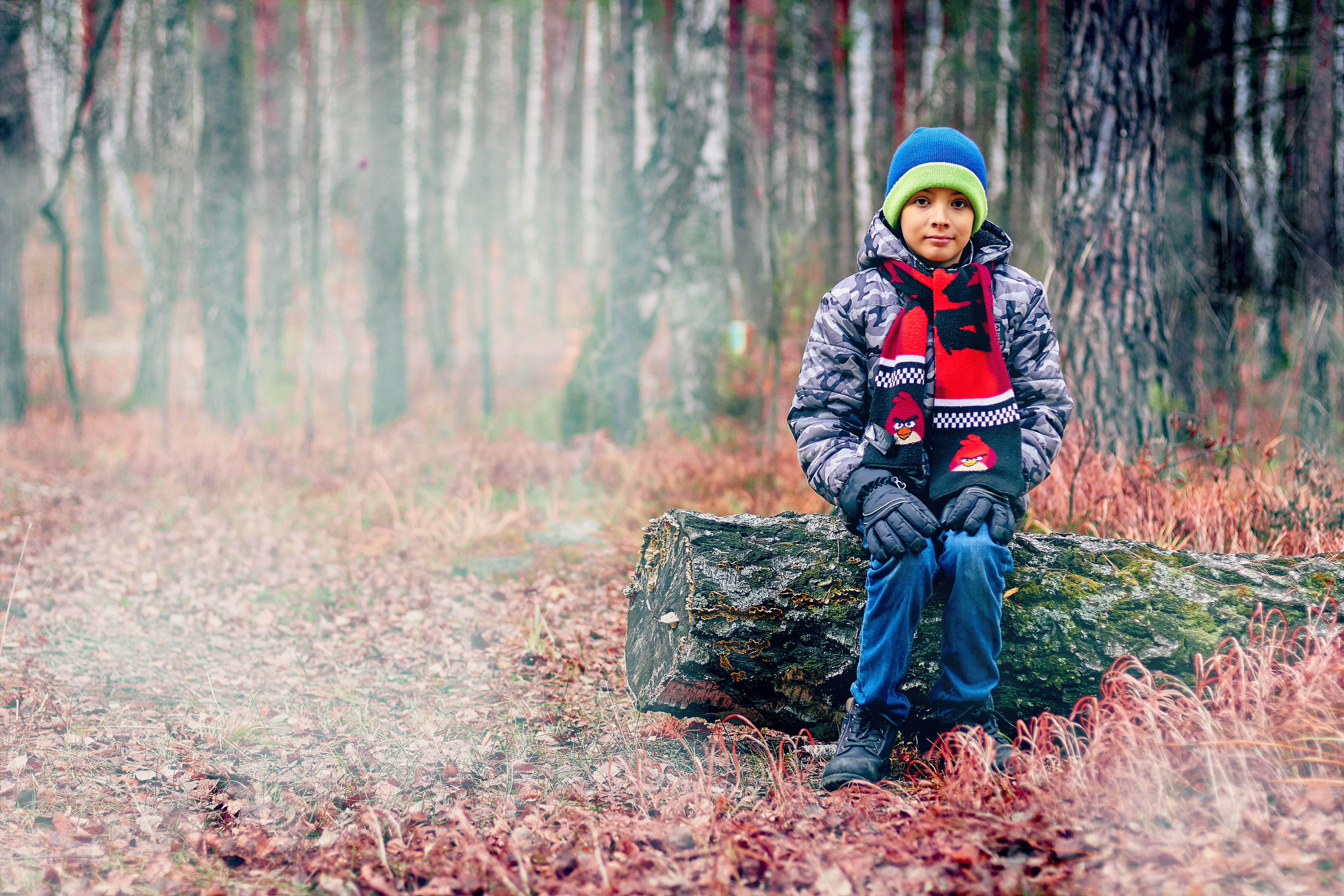 Portrait of Boy sitting on Fallen Tree in Forest · Free Stock Photo