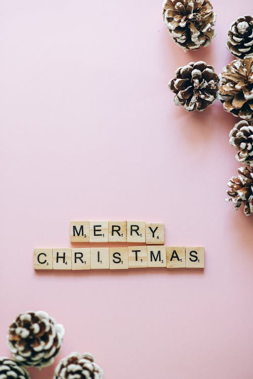 Gratuit Imagine de stoc gratuită din conuri de pin, Crăciun, crăciun fericit Fotografie de stoc