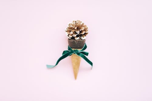Pine Cone on Top of an Ice Cream Cone