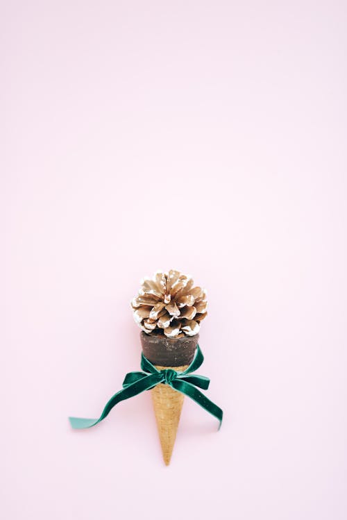 Brown Pine Cone on an Ice Cream Cone
