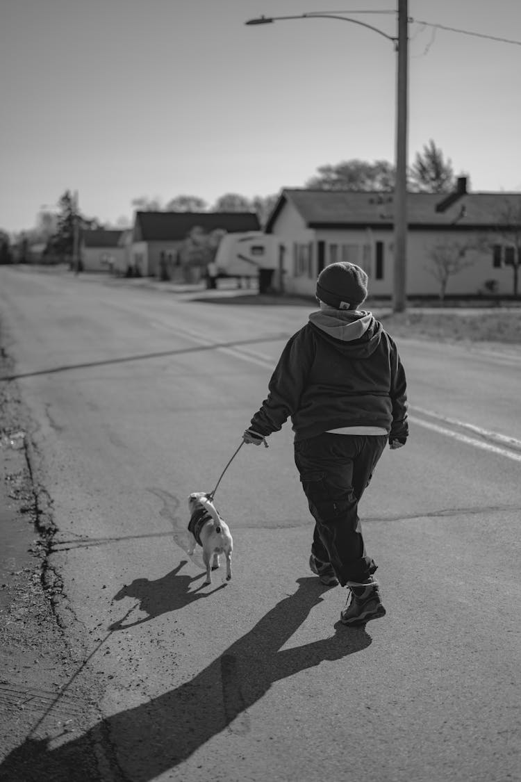 Boy Walking A Dog On A Street