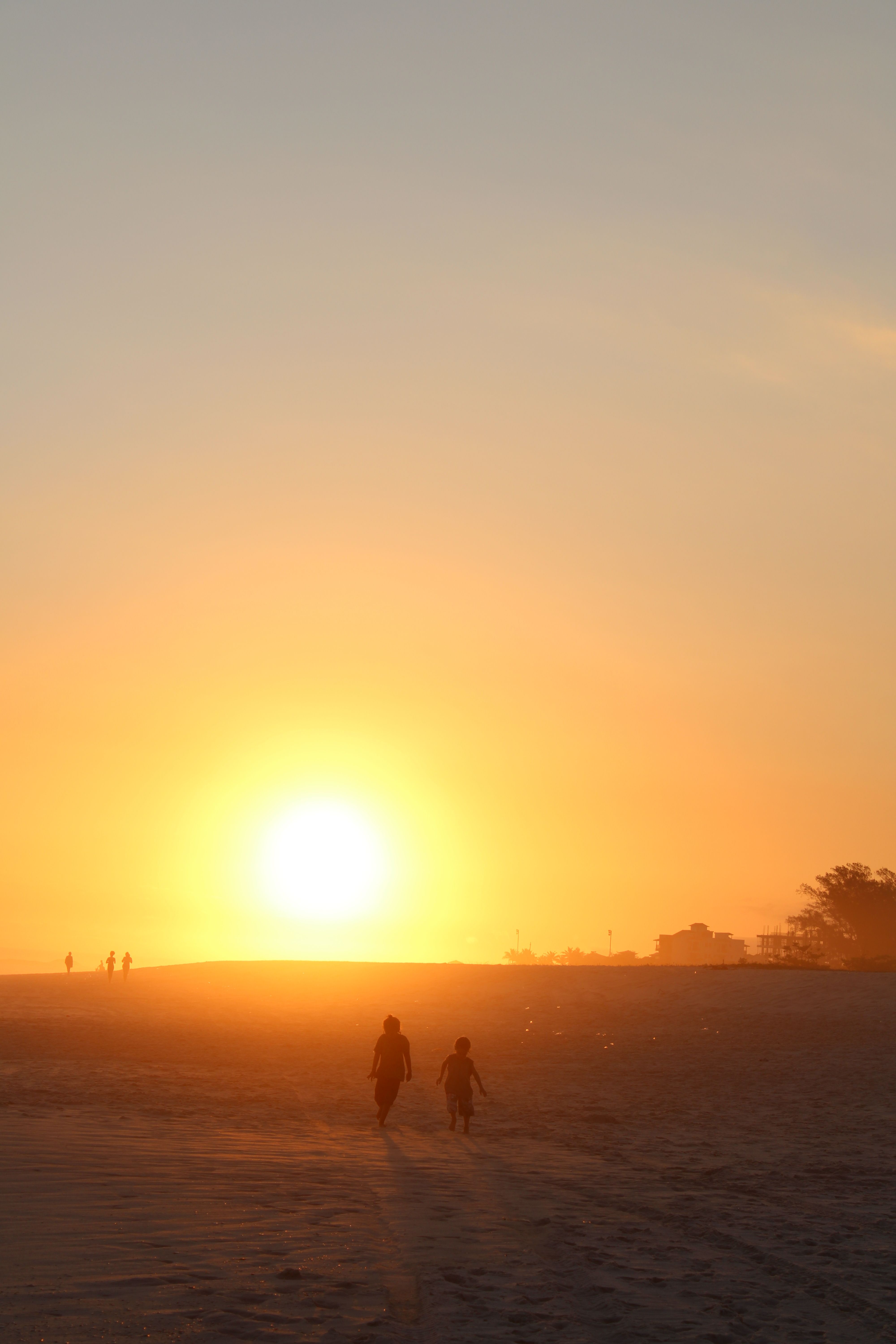 Silhouettes of People on Beach on Sunset · Free Stock Photo