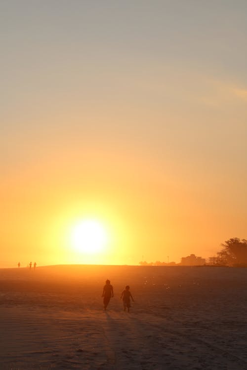 Silhouettes of People on Beach on Sunset