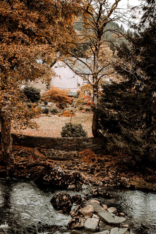 Little Stream Next to a House Surrounded By Trees in Autumn 