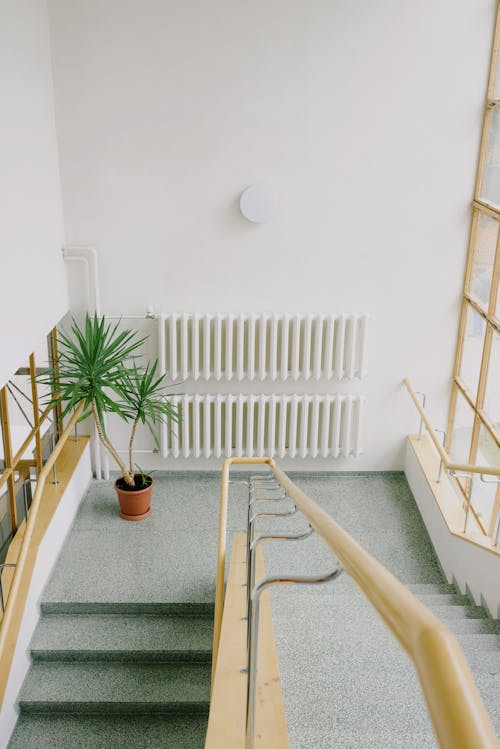 High angle of stairway with handles and potted plant and radiator on wall inside building