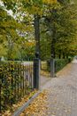 Sidewalk covered with fallen yellow foliage near fence of park with tall trees in autumn day