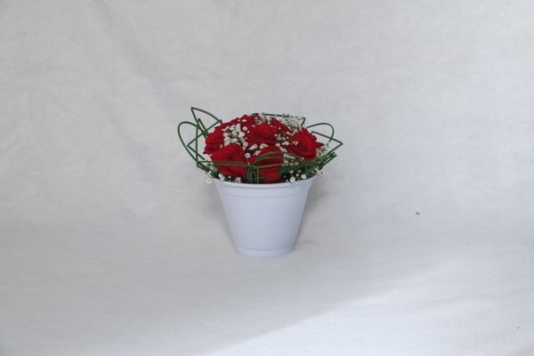 Woman propagating plants