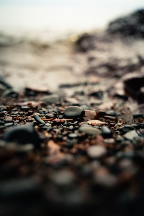 Free Artistic shot capturing smooth stones on a wet beach, perfect for nature themes. Stock Photo