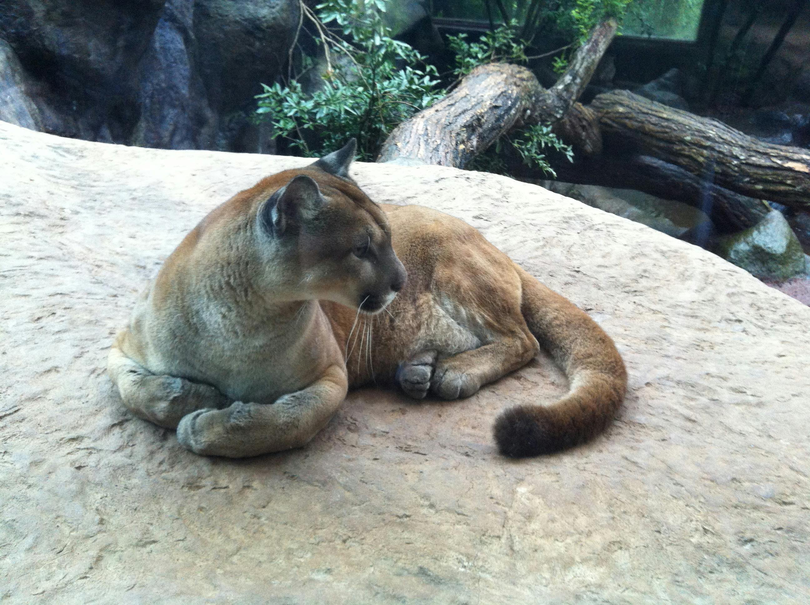 취업 성공 스킬