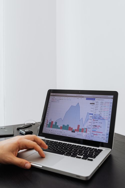 Professional analysing financial data and charts on a laptop