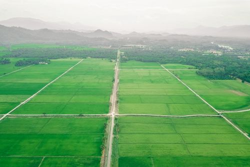 Free Drone view of vibrant green meadows divided by long thin roads by lush woodland and mountain range on horizon under gray sky Stock Photo