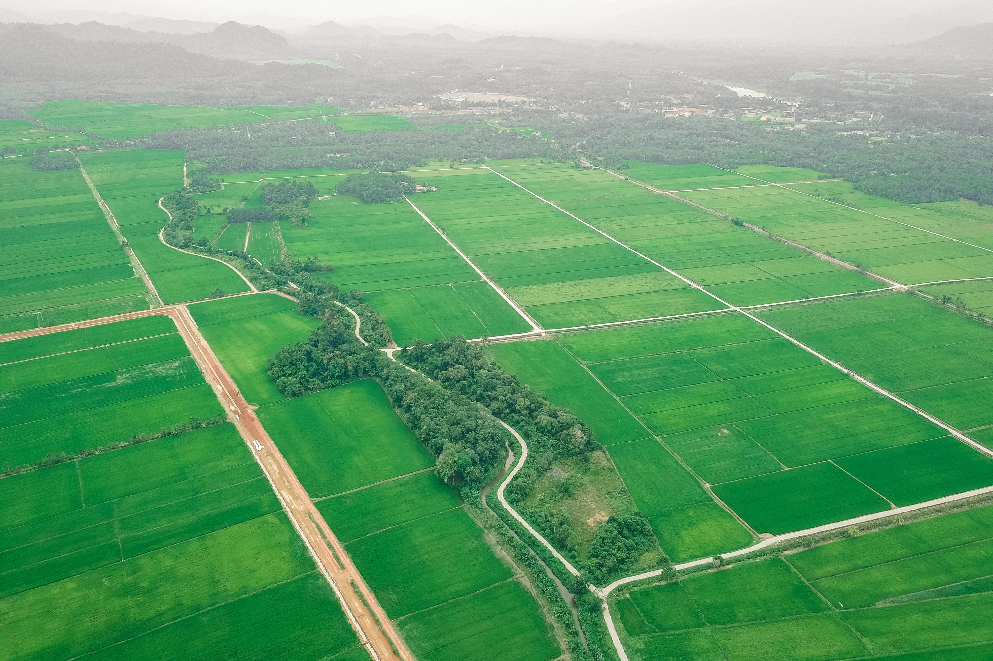 jerez-del-marquesado-mejores-campings-casas-rurales-perros-ciudad