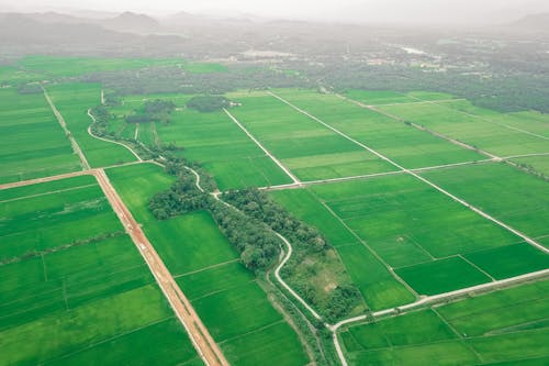 Drone view of vibrant green plantations divided by long beige roads and woods by mountain ridge on horizon in daytime