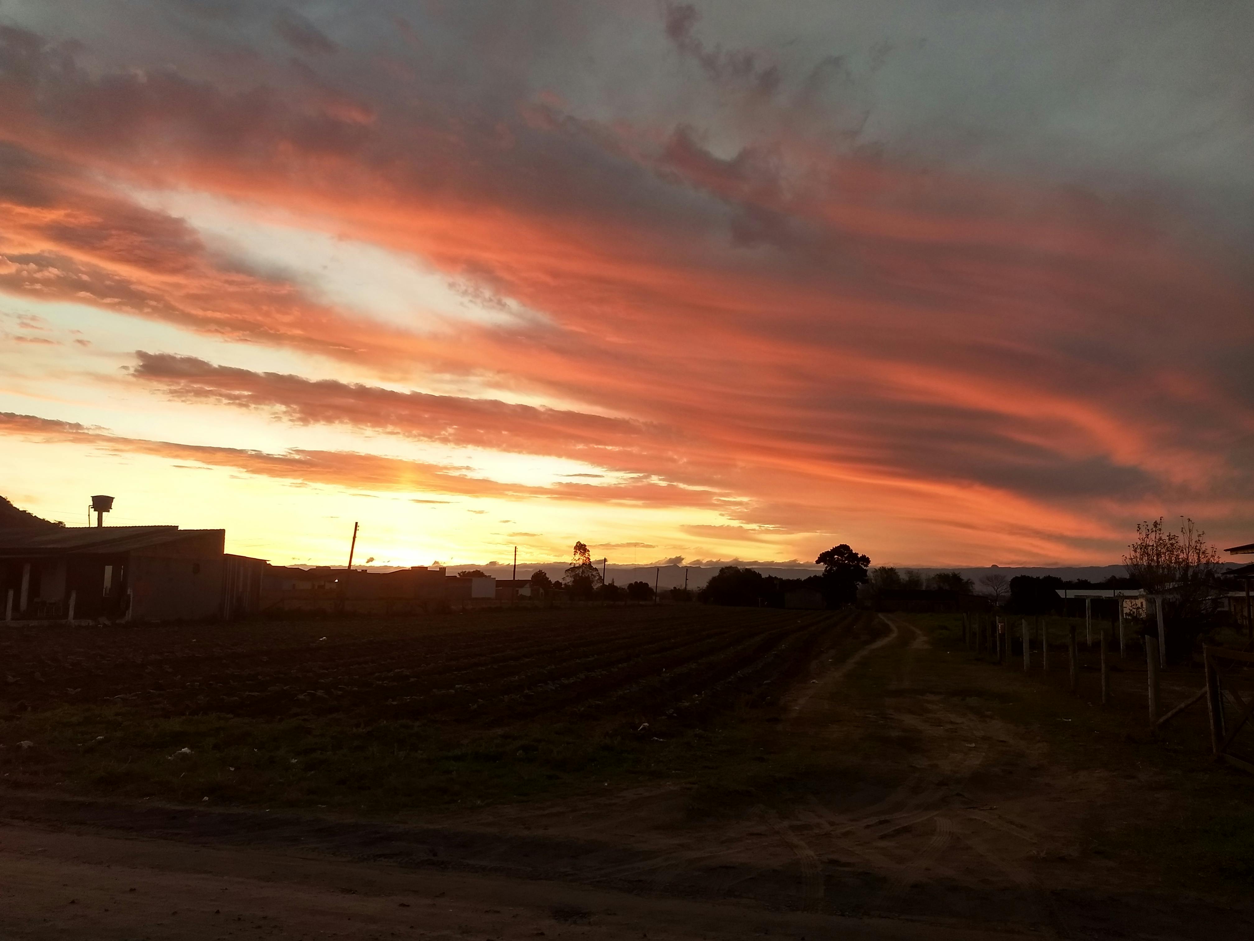 Fontes de proteína saudáveis