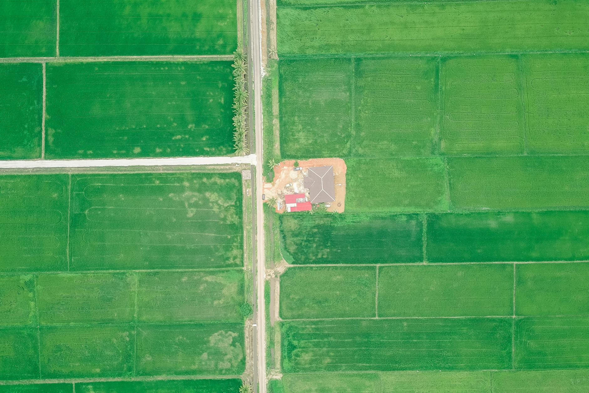 Agriculture Land @ Kempas