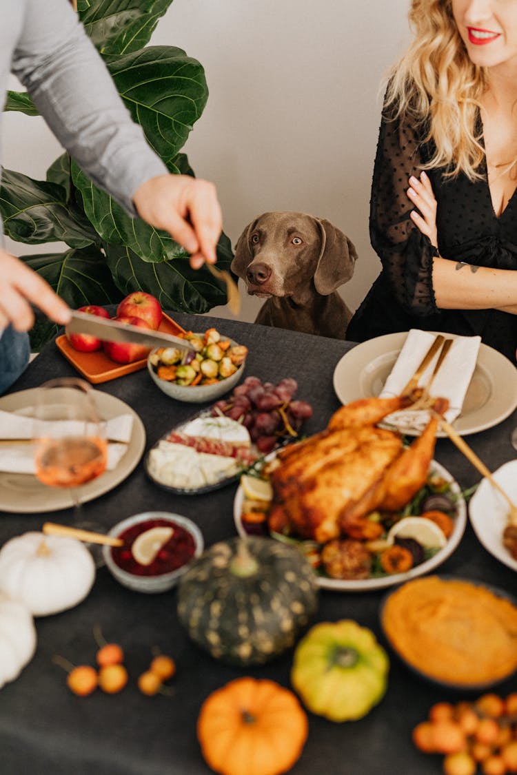 Family With Dog At Thanksgiving Dinner At Table