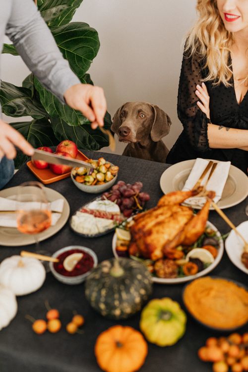 Free Festive Thanksgiving feast with roast turkey, family, and a dog at the dinner table. Stock Photo