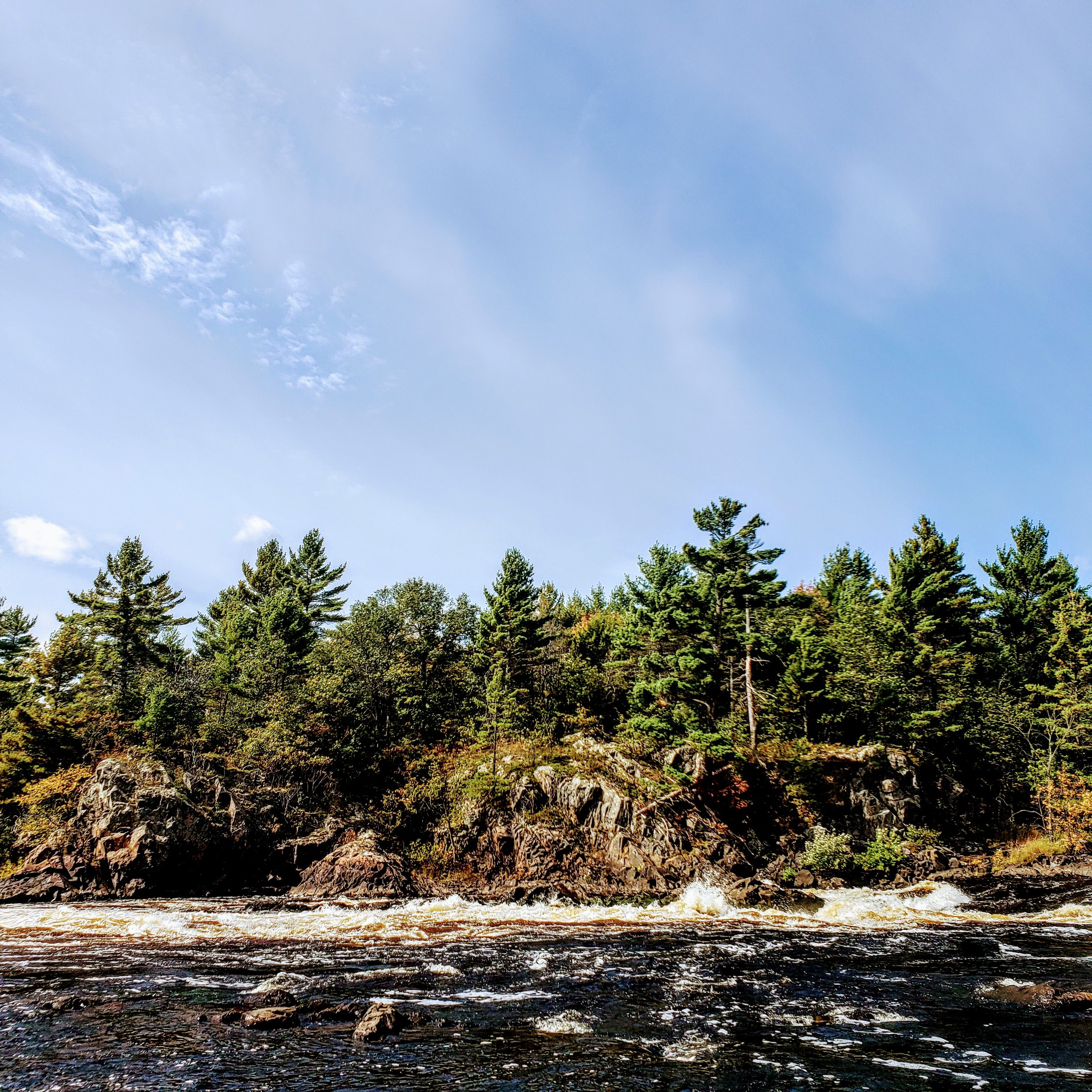 Scenic Landscape with a Forest and a River · Free Stock Photo