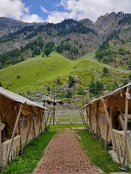 Tent encampment nestled in lush mountains offers a serene escape.