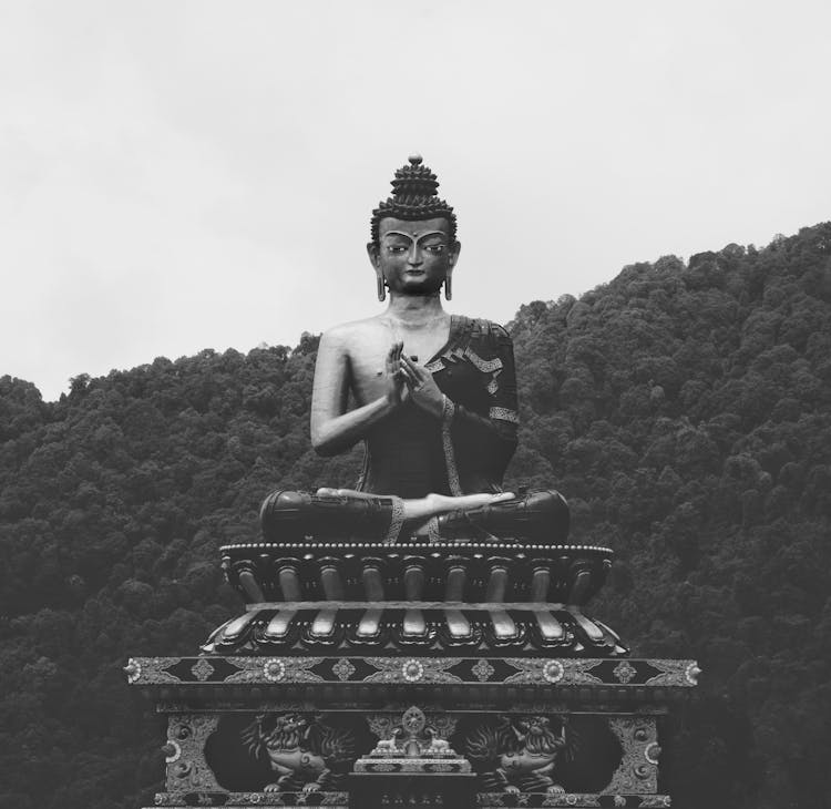 Big Buddha Statue On Forest Background