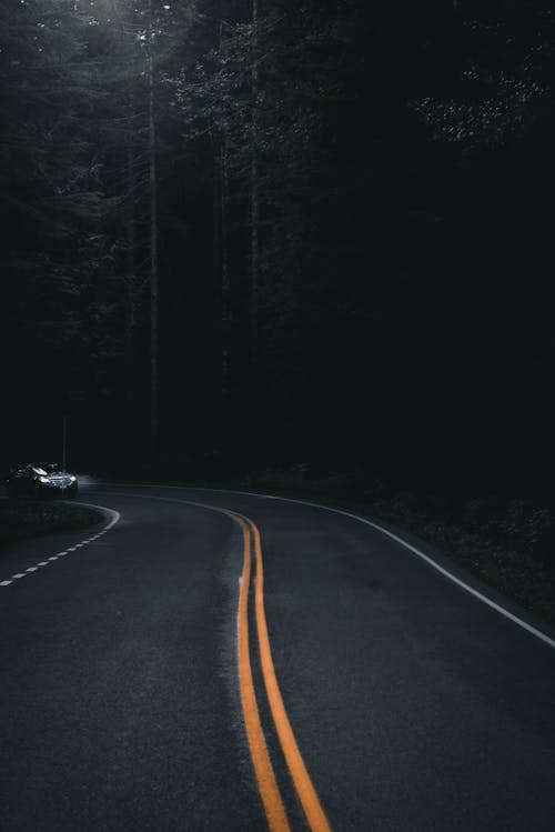 Free Black Car on Road Between Trees Stock Photo