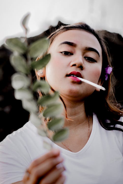 수직 쐈어, 아름다운, 아시아의의 무료 스톡 사진