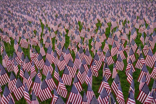 Бесплатное стоковое фото с 4 июля, Американские флаги, демократия