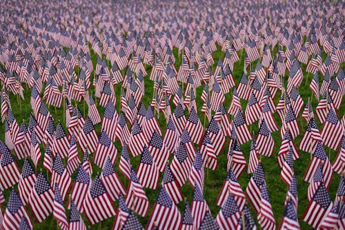 American Flags on the Field