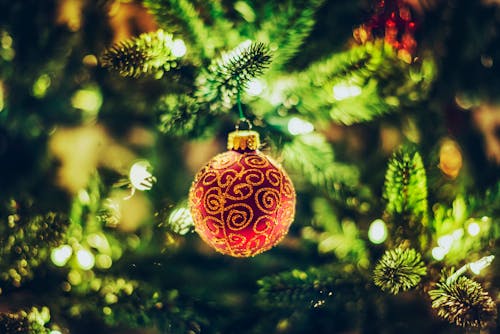 Red and Gold Ornament on Green Christmas Tree