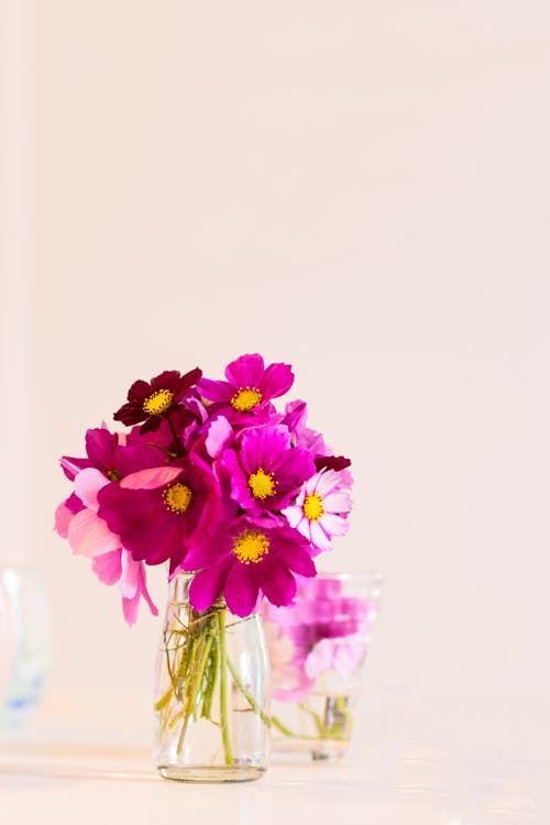 Purple Flowers in Clear Glass Vase
