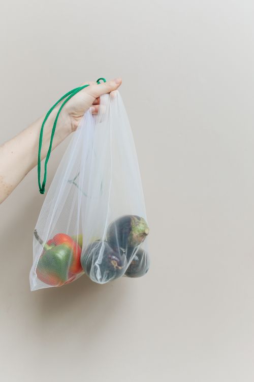 Free Hand holding a reusable bag containing fresh vegetables, promoting low waste and eco-conscious living. Stock Photo