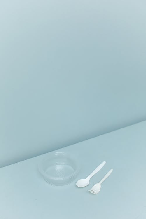 Plastic Container and Cutlery