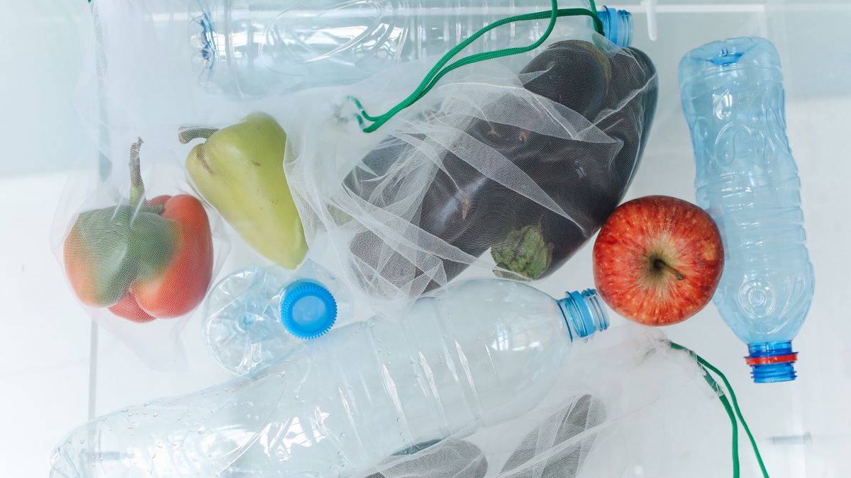 Meilleurs accessoires de cuisine pour réduire le gaspillage alimentaire