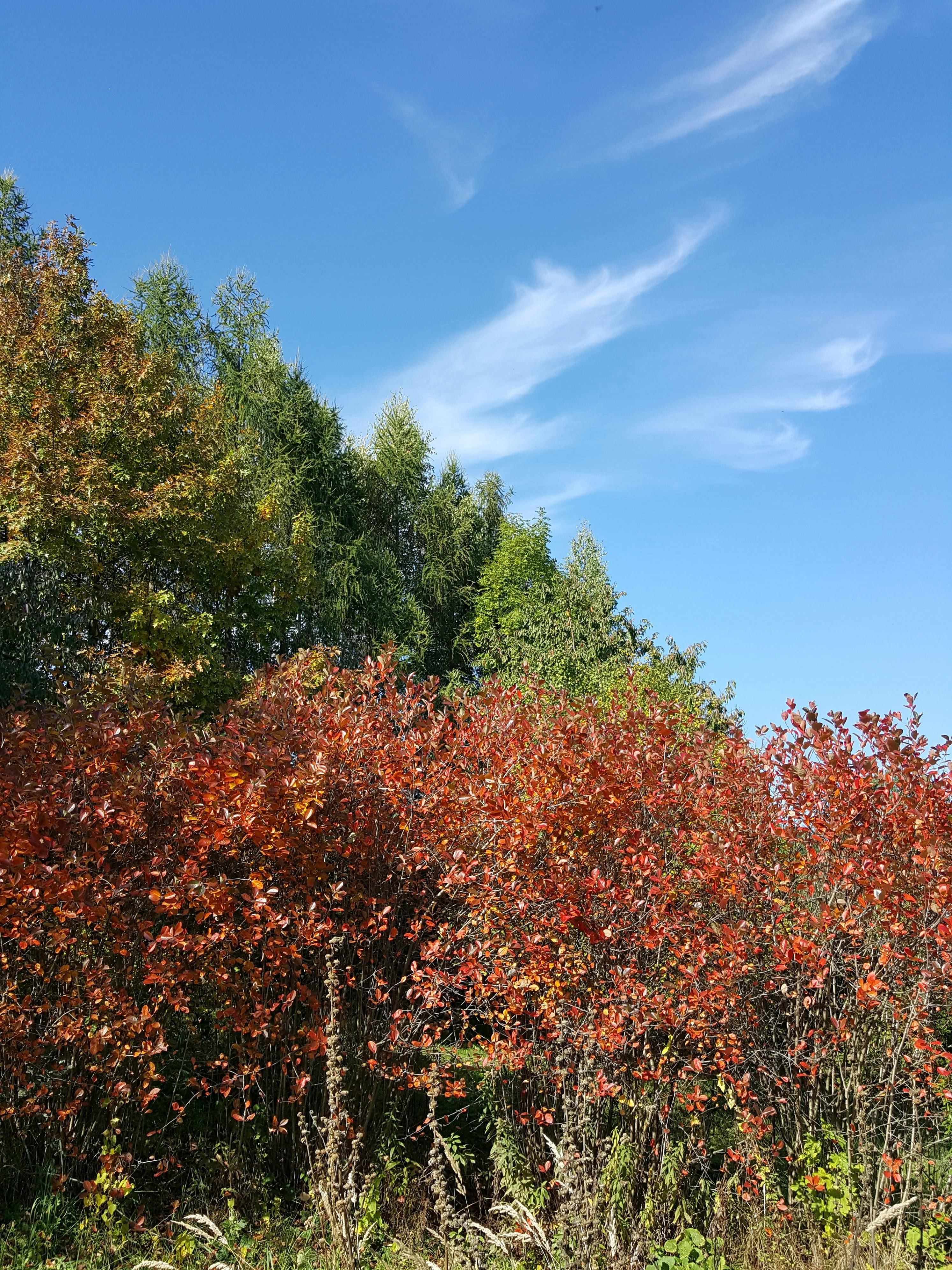 자기 의심 속에서도 공부를 이어가는 모습