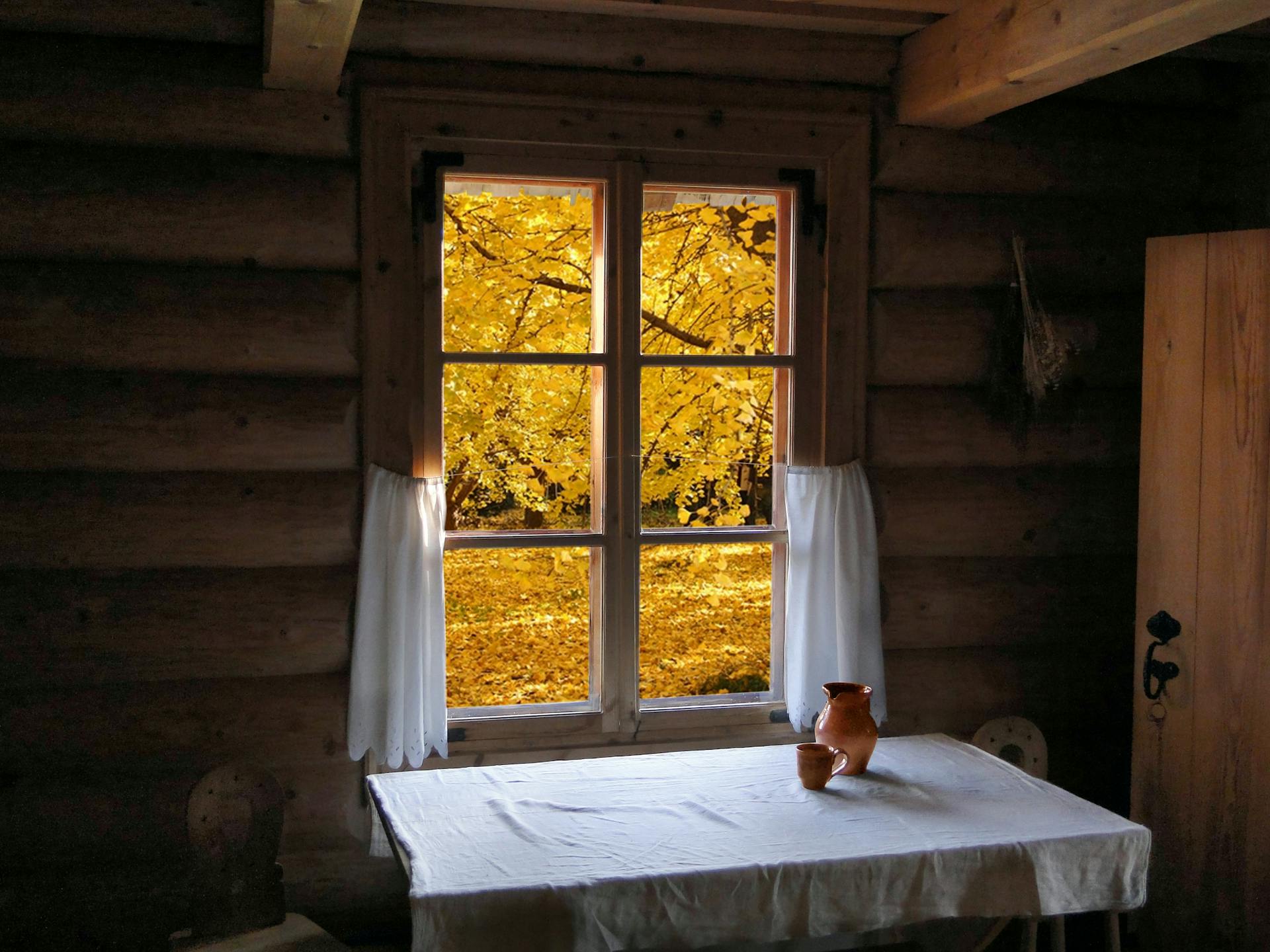 Cozy cabin interior with autumn leaves visible through the window.