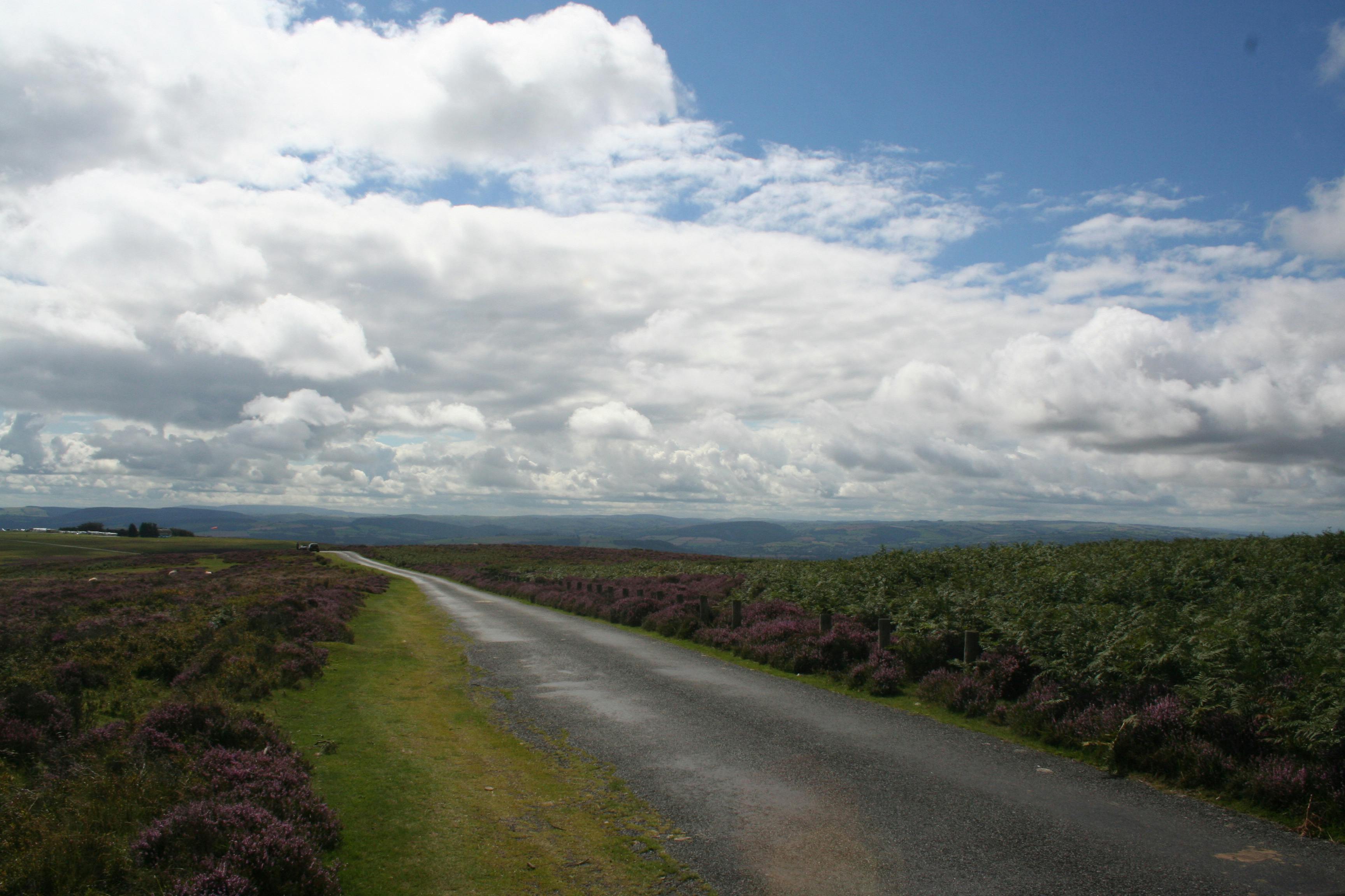 Free stock photo of country lane, heather, hills