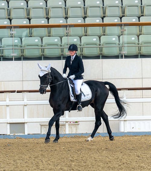 Young female jockey riding black horse in arena