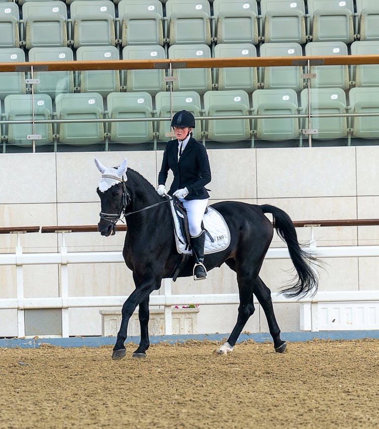 Young Female Jockey Riding Black Horse In Arena